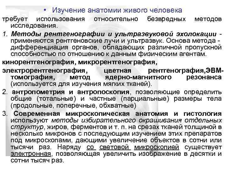  • Изучение анатомии живого человека требует использования относительно безвредных методов исследования. 1. Методы