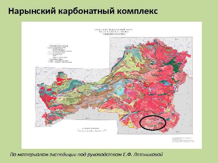 Нарынский карбонатный комплекс По материалам экспедиции под руководством Е. Ф. Летниковой 