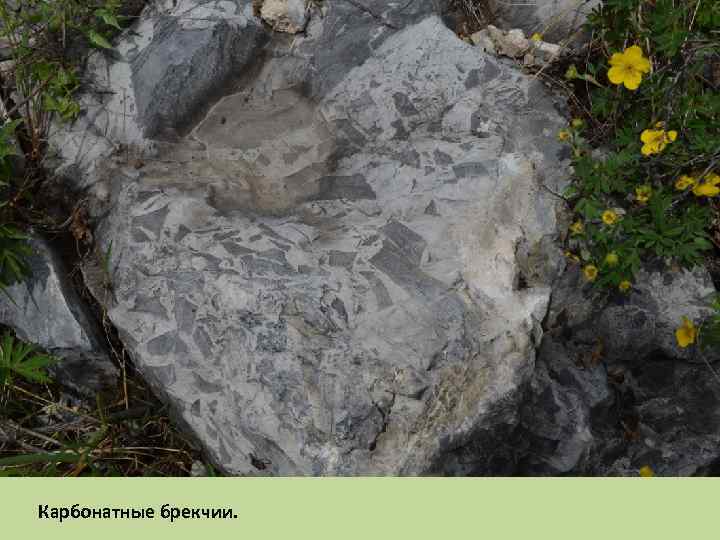 Карбонатные брекчии. 