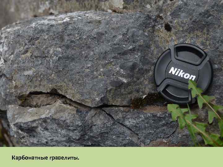 Карбонатные гравелиты. 