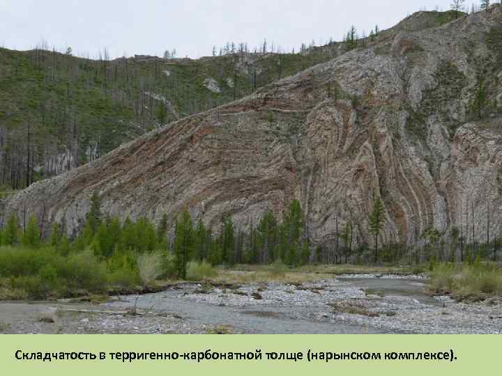 Складчатость алтая. Горы киммерийской складчатости. Горы мезозойской области. Терригенно карбонатная толща. Голоморфная складчатость.