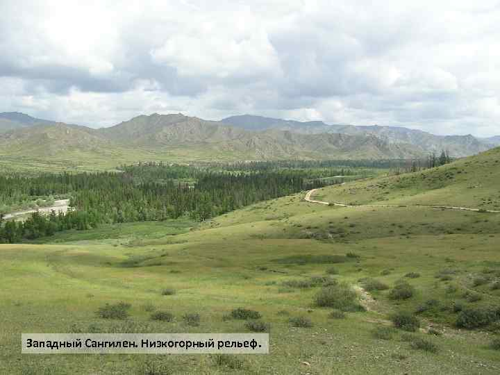 Западный Сангилен. Низкогорный рельеф. 
