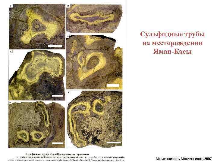 Сульфидные трубы на месторождении Яман-Касы Масленникова, Масленников, 2007 