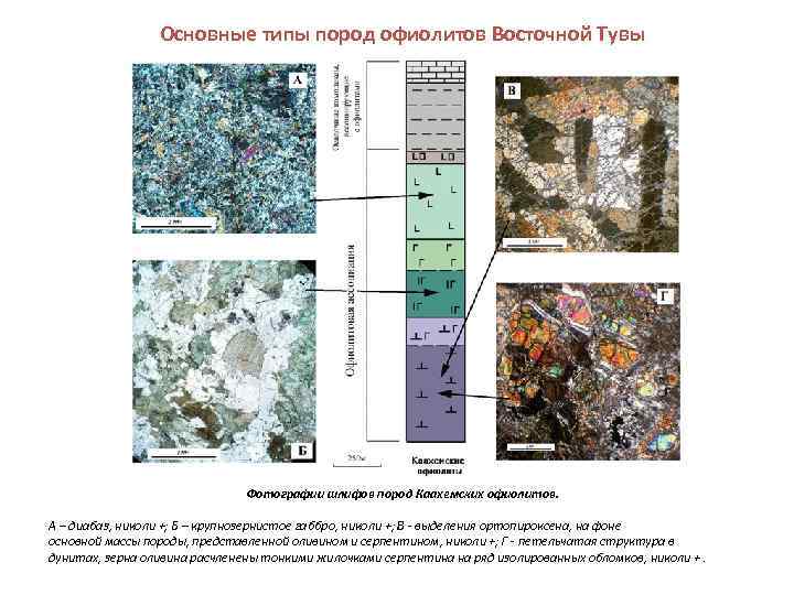 Основные типы пород офиолитов Восточной Тувы Фотографии шлифов пород Каахемских офиолитов. А – диабаз,