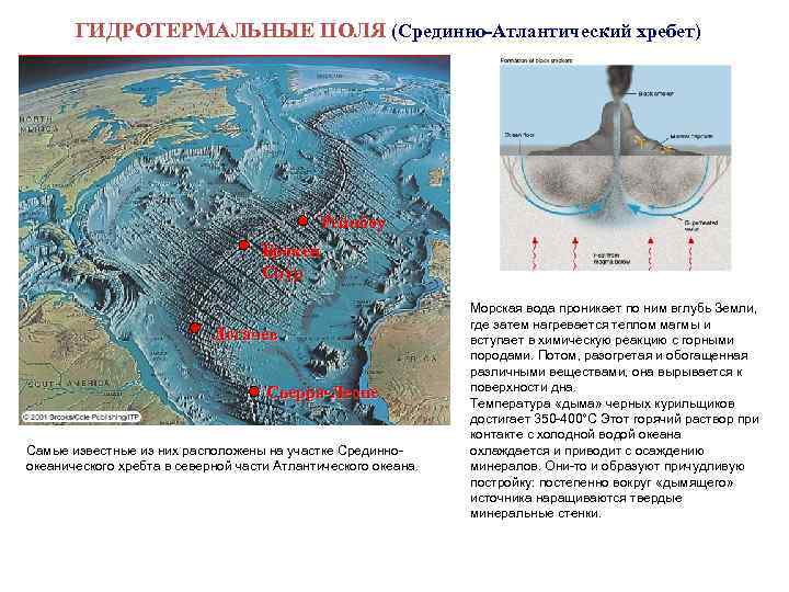 ГИДРОТЕРМАЛЬНЫЕ ПОЛЯ (Срединно-Атлантический хребет) Рейнбоу Брокен Спур Логачев Сьерра-Леоне Самые известные из них расположены