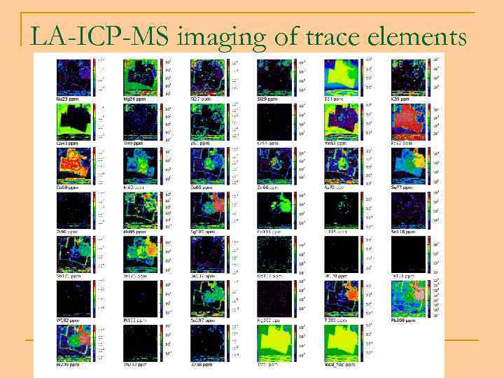 LA-ICP-MS imaging of trace elements 