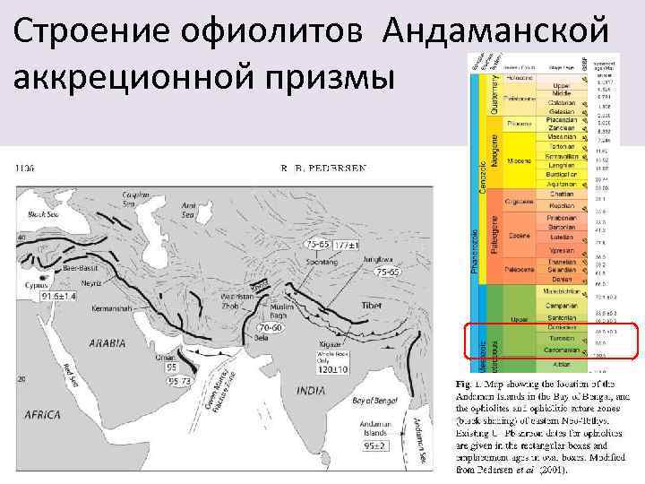 Строение офиолитов Андаманской аккреционной призмы 