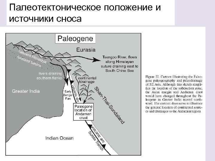 Палеотектоническое положение и источники сноса 