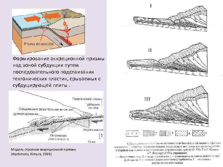 Формирование аккреционной призмы над зоной субдукции путем последовательного подслаивания тектонических пластин, срываемых с субдуцирующей