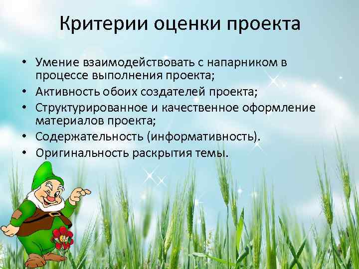 Критерии оценки проекта • Умение взаимодействовать с напарником в процессе выполнения проекта; • Активность