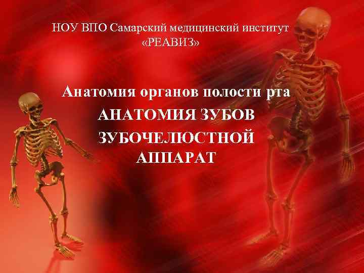НОУ ВПО Самарский медицинский институт «РЕАВИЗ» Анатомия органов полости рта АНАТОМИЯ ЗУБОВ ЗУБОЧЕЛЮСТНОЙ АППАРАТ