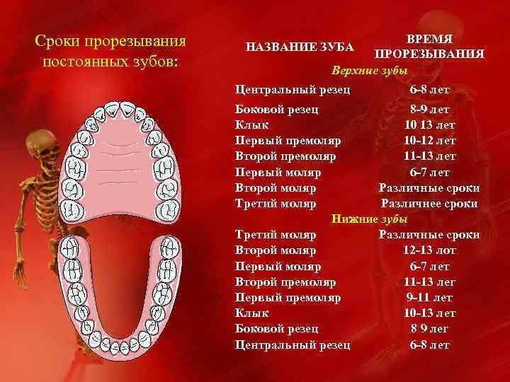 Болезни прорезывания зубов презентация