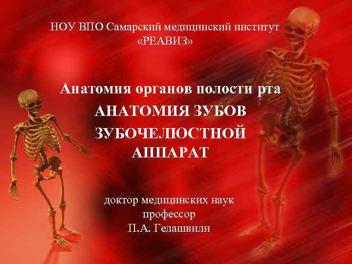 НОУ ВПО Самарский медицинский институт «РЕАВИЗ» Анатомия органов полости рта АНАТОМИЯ ЗУБОВ ЗУБОЧЕЛЮСТНОЙ АППАРАТ