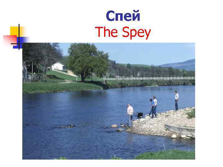 Спей The Spey 