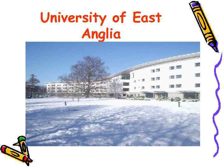 University of East Anglia 