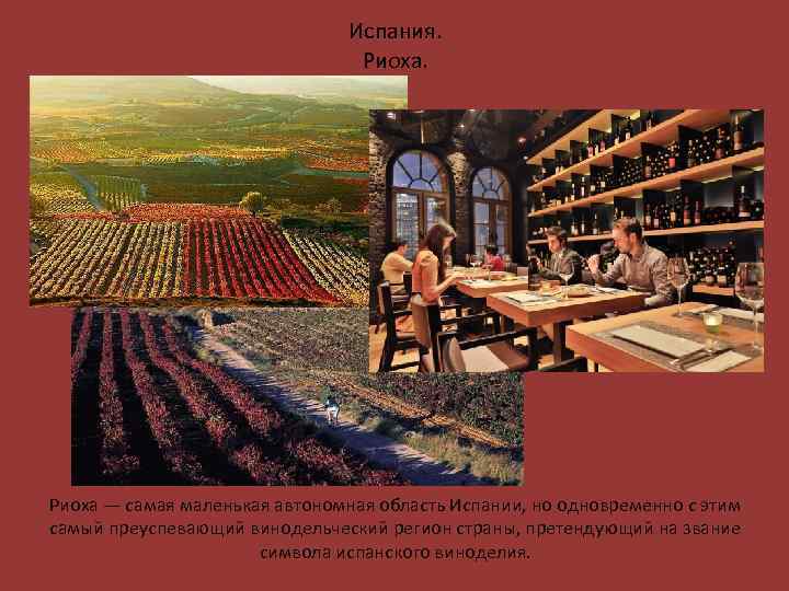 Испания. Риоха — самая маленькая автономная область Испании, но одновременно с этим самый преуспевающий