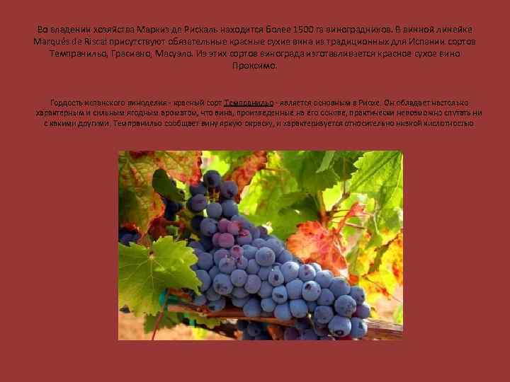 Во владении хозяйства Маркиз де Рискаль находится более 1500 га виноградников. В винной линейке