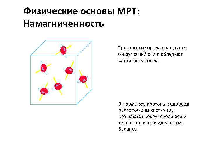 Физические основы МРТ: Намагниченность Протоны водорода вращаются вокруг своей оси и обладают магнитным полем.