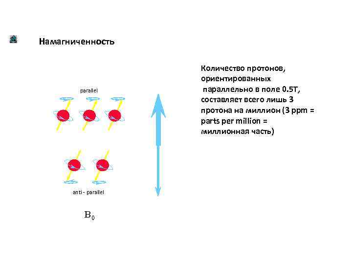 Намагниченность parallel anti - parallel B 0 Количество протонов, ориентированных параллельно в поле 0.