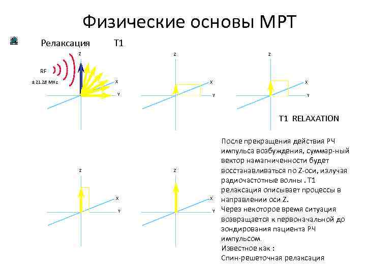 Физические основы МРТ Релаксация T 1 Z Z Z RF X ± 21. 28