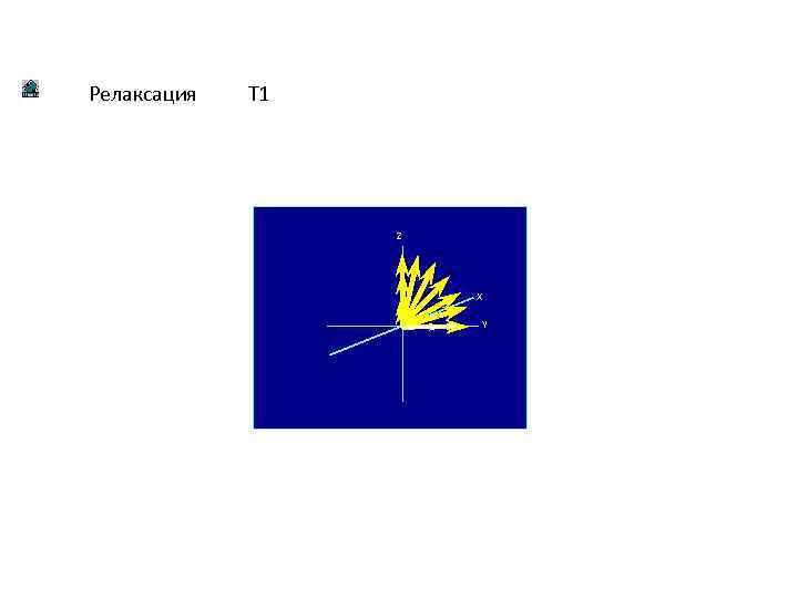 Релаксация T 1 Z X Y 