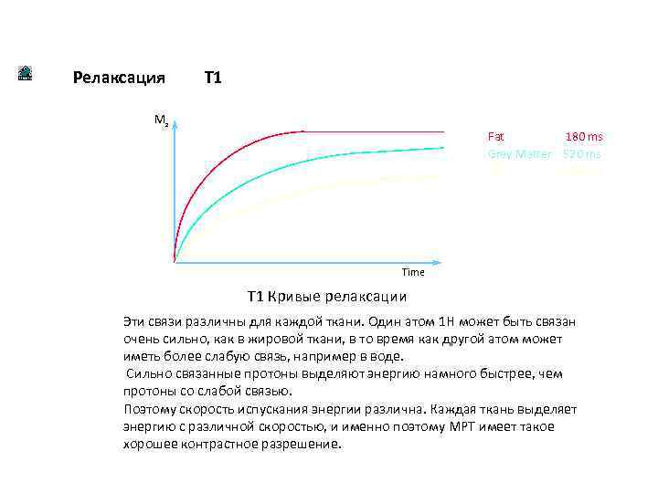 Релаксация T 1 Mz Fat 180 ms Grey Matter 520 ms CSF 2000 ms