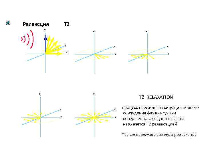 Релаксция T 2 Z Z X X Y Z Z Y Z X Y
