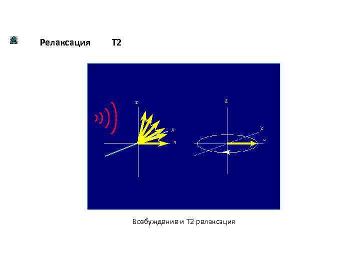 Релаксация T 2 X Y Z X Y Возбуждение и T 2 релаксация 