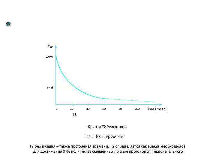 Время релаксации. График релаксации. Время релаксации t1. Кривая релаксации t2. Релаксация протонов – это:.