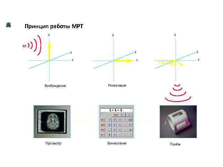 Принцип работы мрт