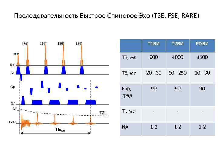 Последовательность Быстрое Спиновое Эхо (TSE, FSE, RARE) T 1 ВИ Т 2 ВИ PDВИ