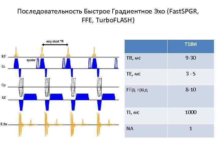Последовательность Быстрое Градиентное Эхо (Fast. SPGR, FFE, Turbo. FLASH) T 1 ВИ TR, мс