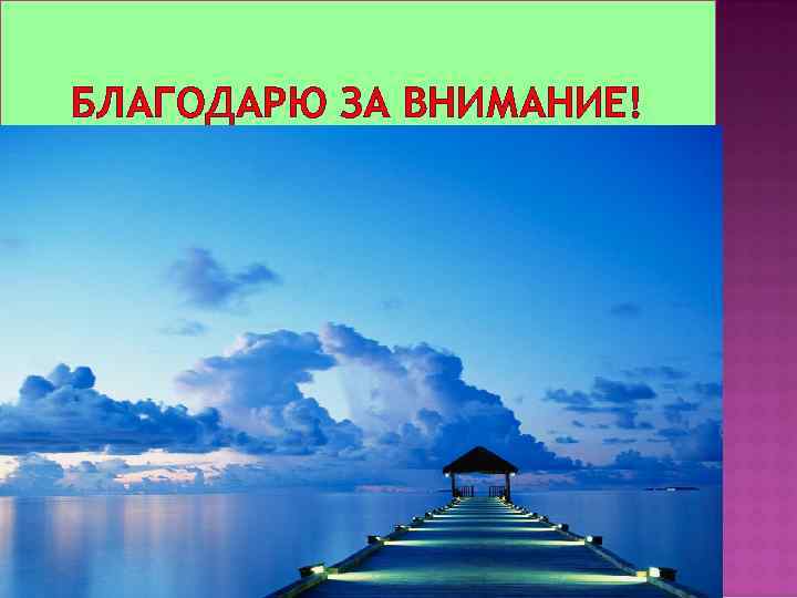 БЛАГОДАРЮ ЗА ВНИМАНИЕ! 