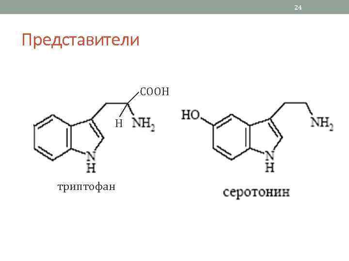 24 Представители COOH H триптофан 