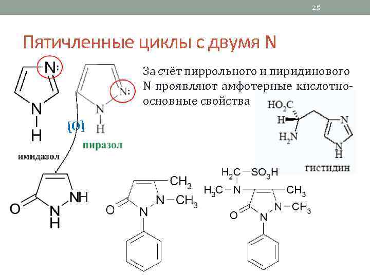 25 Пятичленные циклы с двумя N За счёт пиррольного и пиридинового N проявляют амфотерные