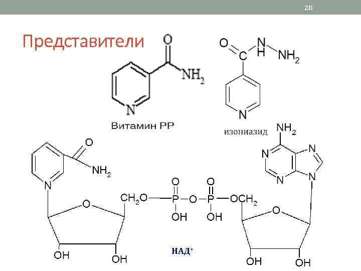 28 Представители НАД+ 