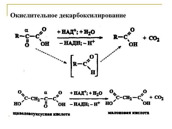 Окислительное декарбоксилирование 