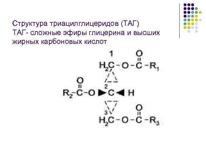 Структура триацилглицеридов (ТАГ) ТАГ- сложные эфиры глицерина и высших жирных карбоновых кислот 