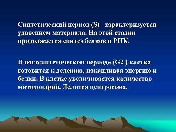 Синтетический период (S) характеризуется удвоением материала. На этой стадии продолжается синтез белков и РНК.