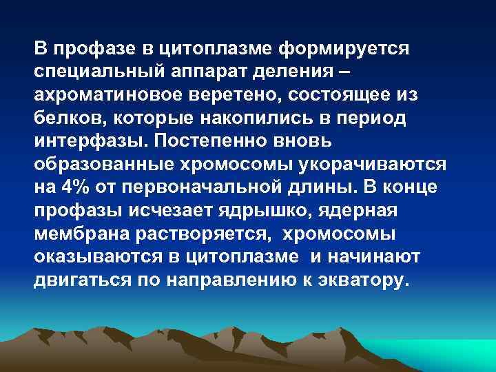 В профазе в цитоплазме формируется специальный аппарат деления – ахроматиновое веретено, состоящее из белков,