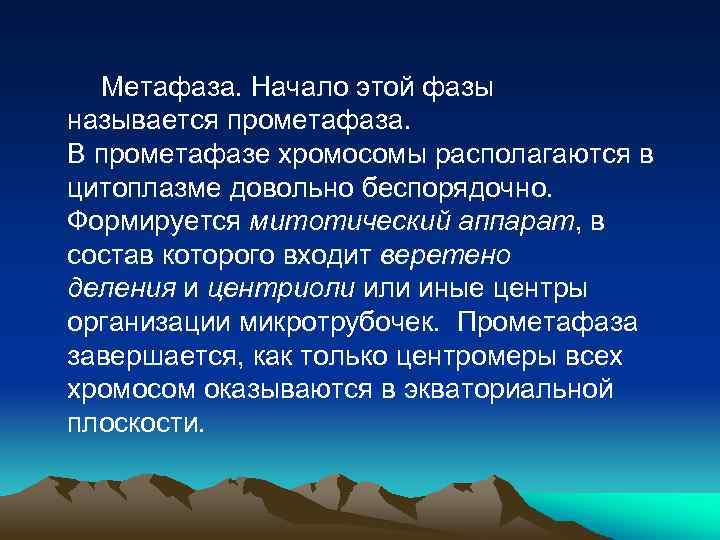 Метафаза. Начало этой фазы называется прометафаза. В прометафазе хромосомы располагаются в цитоплазме довольно беспорядочно.