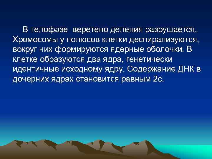 В телофазе веретено деления разрушается. Хромосомы у полюсов клетки деспирализуются, вокруг них формируются ядерные