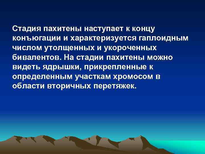 Стадия пахитены наступает к концу конъюгации и характеризуется гаплоидным числом утолщенных и укороченных бивалентов.