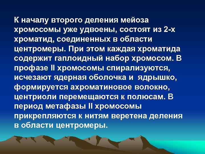 К началу второго деления мейоза хромосомы уже удвоены, состоят из 2 -х хроматид, соединенных