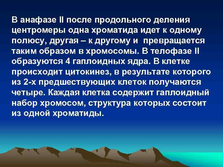 В анафазе II после продольного деления центромеры одна хроматида идет к одному полюсу, другая