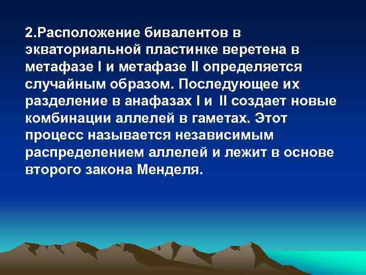 2. Расположение бивалентов в экваториальной пластинке веретена в метафазе I и метафазе II определяется