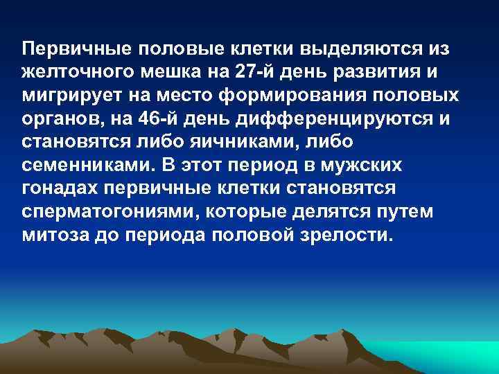 Первичные половые клетки выделяются из желточного мешка на 27 -й день развития и мигрирует