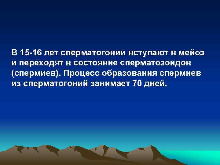 В 15 -16 лет сперматогонии вступают в мейоз и переходят в состояние сперматозоидов (спермиев).