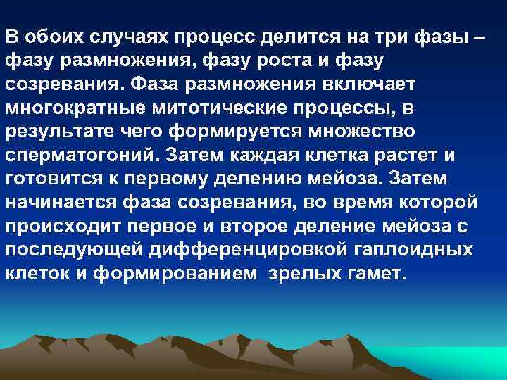 В обоих случаях процесс делится на три фазы – фазу размножения, фазу роста и