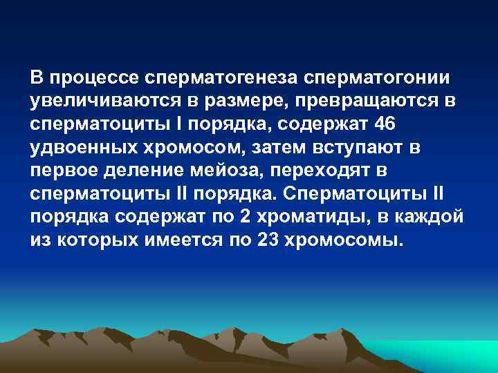 В процессе сперматогенеза сперматогонии увеличиваются в размере, превращаются в сперматоциты I порядка, содержат 46